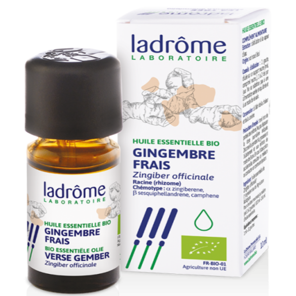 HUILE ESS GINGEMBRE 10 ML HUILE ESS GINGEMBRE 10 ML