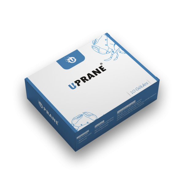 U-PRANE CEPHALEES GELULE BT/10 U-PRANE CEPHALEES GELULE BT/10