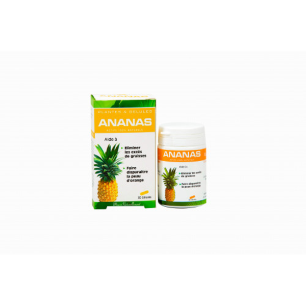 PLANTES ET GELULES ANANAS BT 30 PLANTES ET GELULES ANANAS BT 30