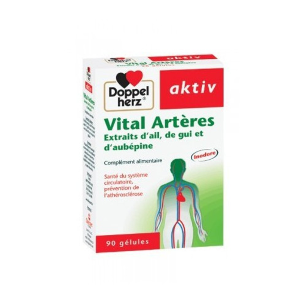 AKTIV VITAL ARTERES 90 GELULES AKTIV VITAL ARTERES 90 GELULES