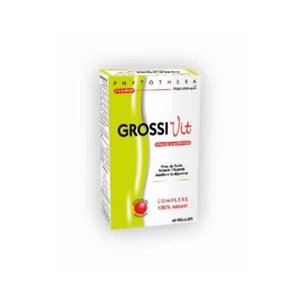 GROSSIVIT B/60 GELULE GROSSIVIT B/60 GELULE