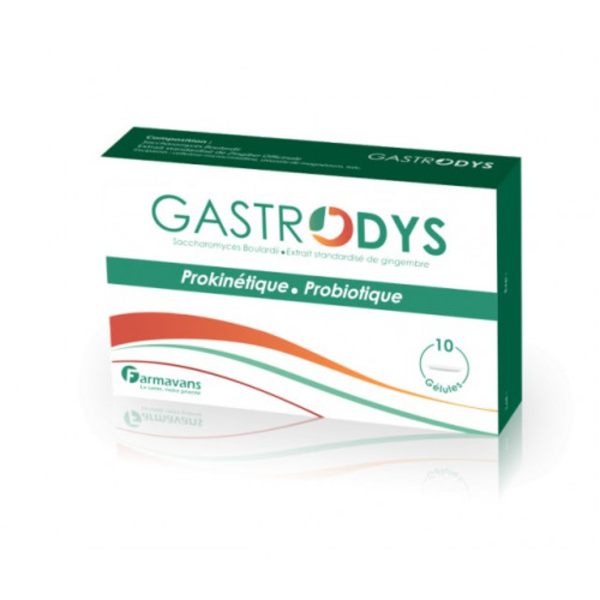 GASTRODYS GELULES GASTRODYS GELULES
